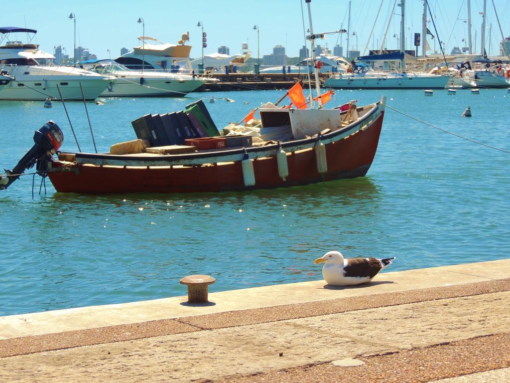 Increible Vista Al Mar Centro De Punta Del Este Διαμέρισμα Δωμάτιο φωτογραφία