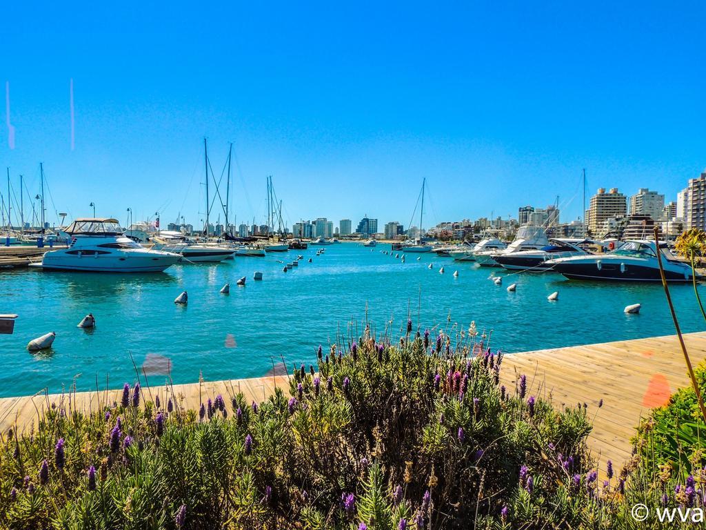 Increible Vista Al Mar Centro De Punta Del Este Διαμέρισμα Δωμάτιο φωτογραφία